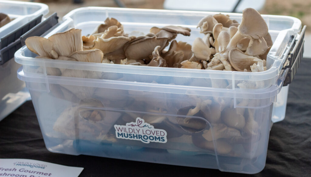 Gourmet mushrooms on a market table