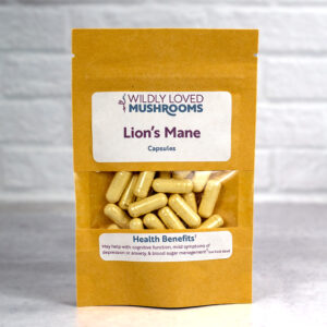 lion's mane mushroom capsules in bag