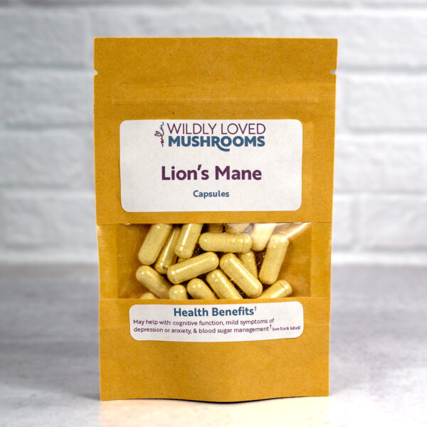 lion's mane mushroom capsules in bag